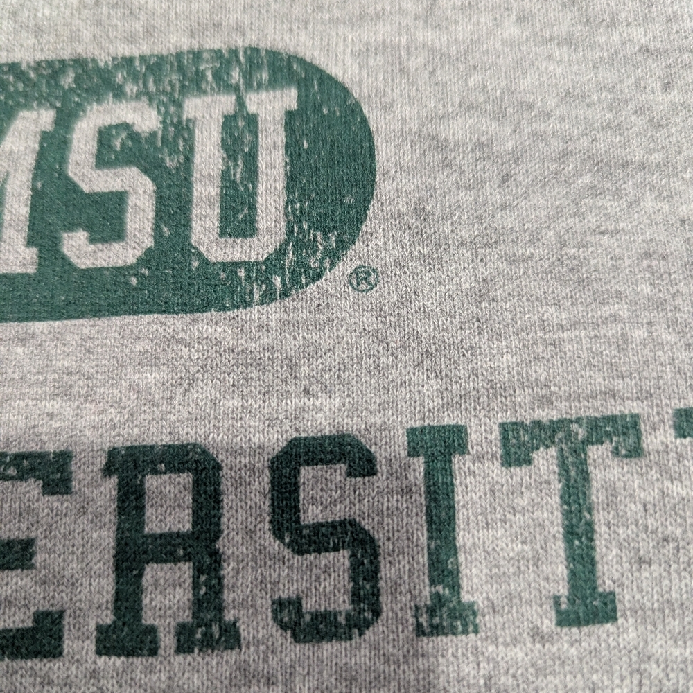 Vintage Michigan State University Arch Logo Hoodie - Picture 3 of 8